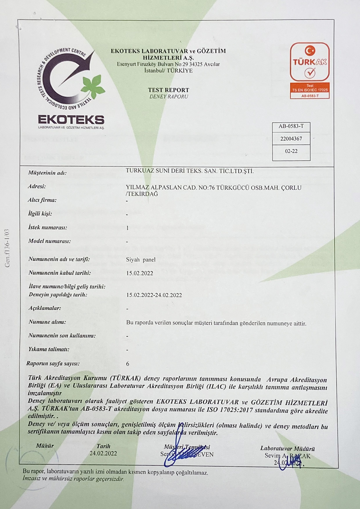 Test Report