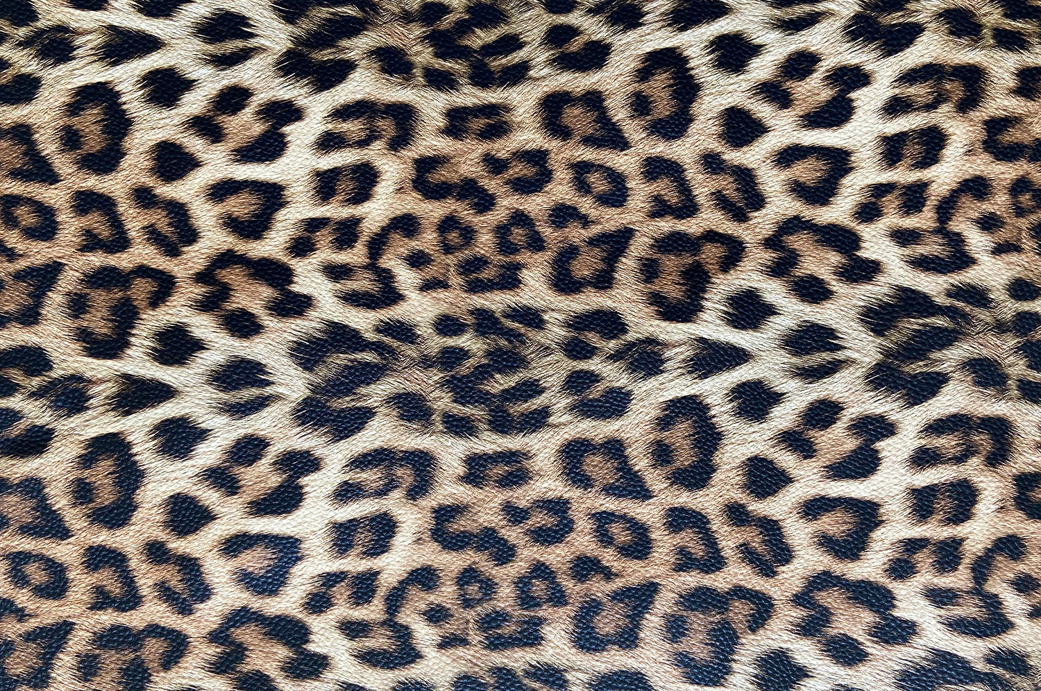 Leopar